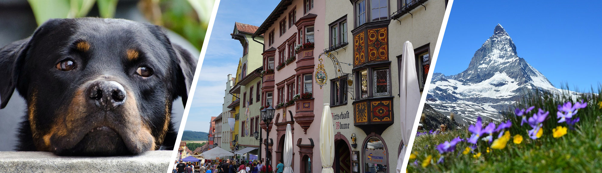Slideshow-Bild